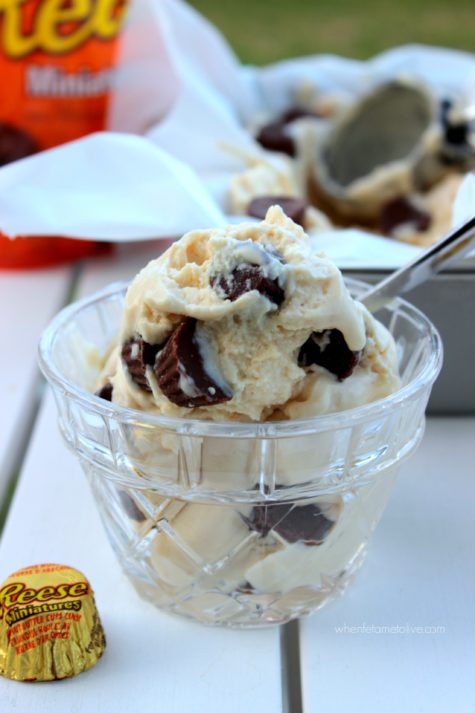 Reese Peanut Butter Cup Ice Cream